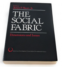 Image of The Social Fabric: dimensions and issues